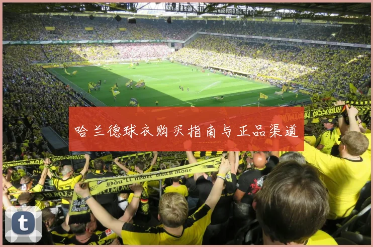 哈兰德球衣购买指南与正品渠道